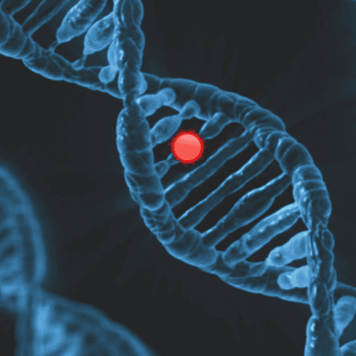 Preimplantation Genetic Testing (PGT) and Next-Generation Sequencing (NGS) for Successful IVF